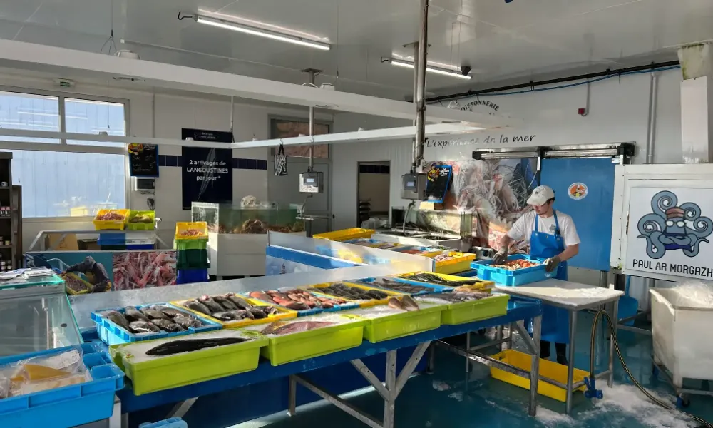 poissonnerie arrivage