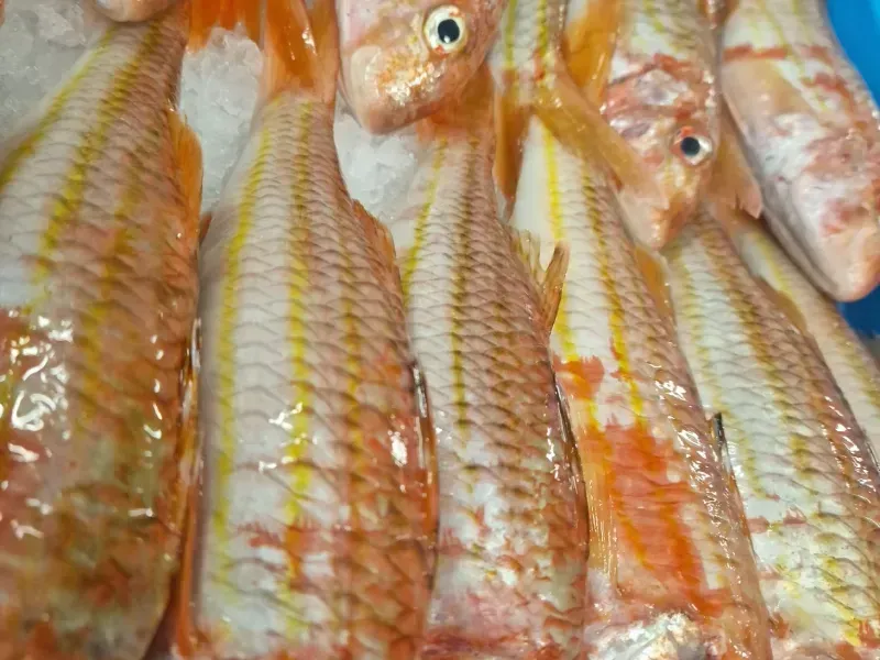 poissons