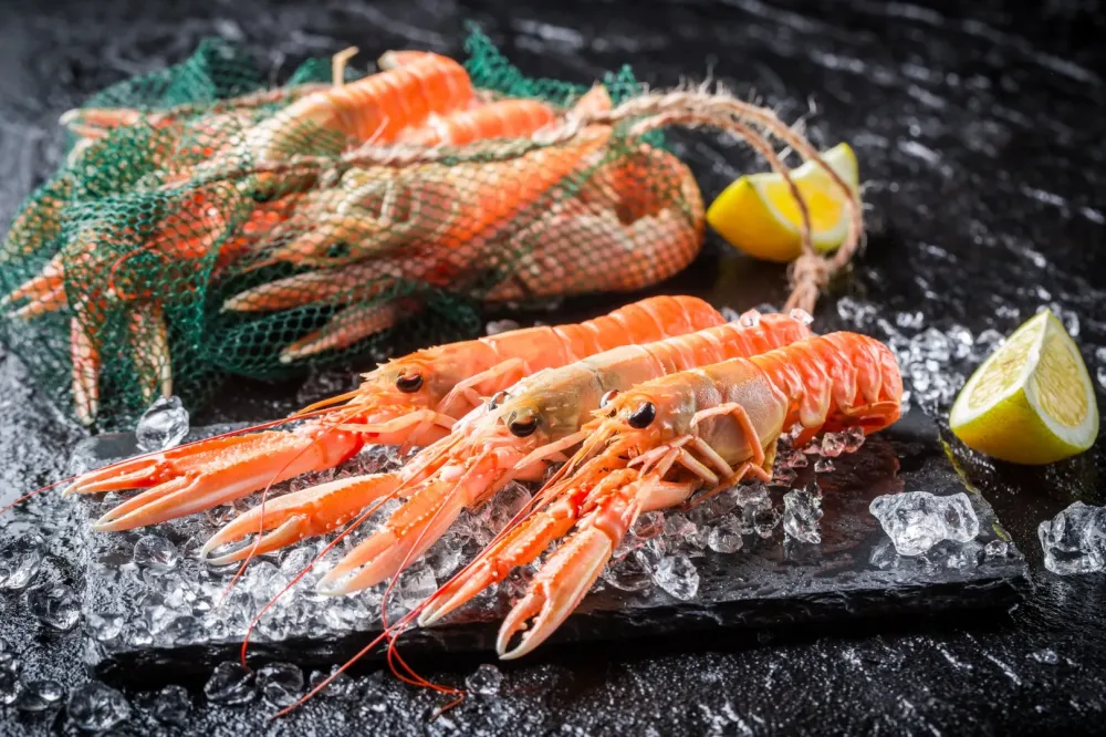 Langoustine à Loctudy