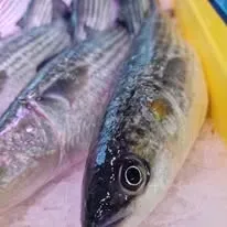 Plongez dans l’ambiance de notre poissonnerie (2)