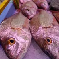 Plongez dans l’ambiance de notre poissonnerie (3)