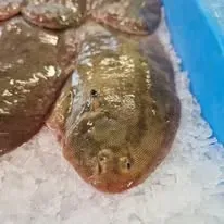 Plongez dans l’ambiance de notre poissonnerie (4)