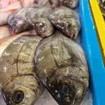 Plongez dans l’ambiance de notre poissonnerie (5)