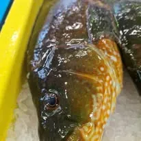 Plongez dans l’ambiance de notre poissonnerie (6)