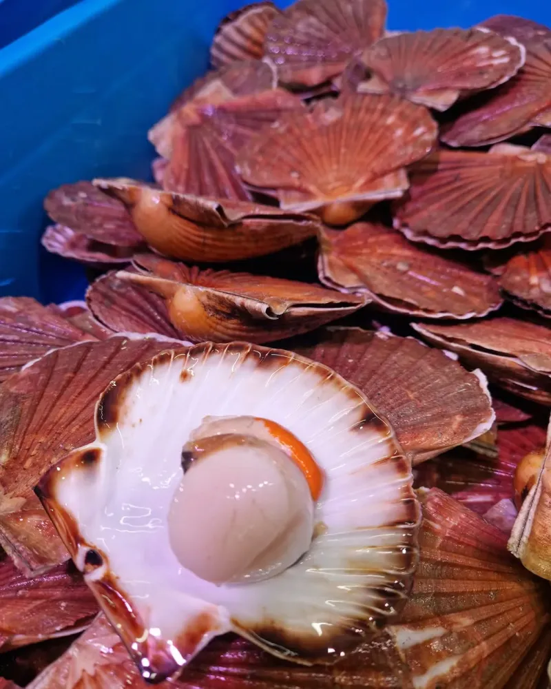 Plongez dans l’ambiance de notre poissonnerie  (2)